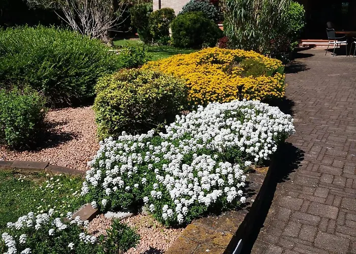 Couette-café Argiolas