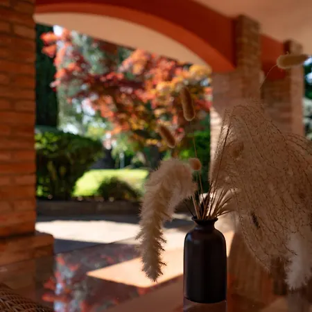 Argiolas 3* מודנה