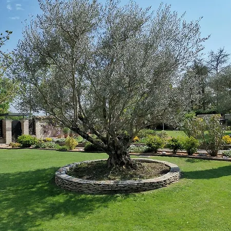 לינה וארוחת בוקר Argiolas