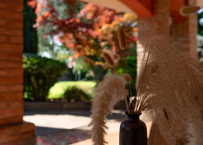 Argiolas 3* مودينا