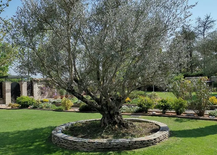 Bed and breakfast Argiolas